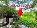 - ขายด่วน ! ที่ดิน 7-2-08 ไร่ ซอยหนามแดง-บางพลี 13 ติดกับโรงเรียนบางแก้วประชาสรรค์ อ.บางพลี จ.สมุทรปราการ