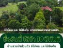 - ไม่ต้องรอ 10 ปี เพื่อให้ได้สวนป่า! ขายที่ดินนครนายก 3 ไร่เศษ ผังสีชมพู พร้อมบ้านและสวนผลไม้ใหญ่ ใกล้เมืองนครนายก**