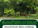 - ไม่ต้องรอ 10 ปี เพื่อให้ได้สวนป่า! ขายที่ดินนครนายก 3 ไร่เศษ ผังสีชมพู พร้อมบ้านและสวนผลไม้ใหญ่ ใกล้เมืองนครนายก**