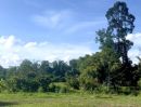  - ที่ดินสวยวิวเขาวิวบึงน้ำเหมาะ พูลวิลล่า คาเฟ่ รีสอร์ท 5 ไร่ หินตั้ง นครนายก
