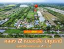  - ที่ดินคลอง12 รังสิต ปทุมธานี ใกล้กทม เพียง 1 ชม ถูกมาก