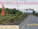  - ขายที่ดินติดถนนสุวรรณศร 2ไร่2งาน56ตรว. ต.โพธิ์งาม อ.ประจันตคาม