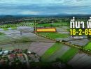 - ขายที่นาแปลงใหญ่ 16 ไร่ ติดคลองชลประทาน อ.เมืองเชียงราย ใกล้สนามบิน