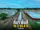 - ขายที่นาแปลงใหญ่ 16 ไร่ ติดคลองชลประทาน อ.เมืองเชียงราย ใกล้สนามบิน