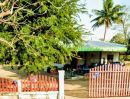 - บ้านพร้อมที่ดิน มีโฉนด ติดถนนลาดยาง 499,000 บาทเท่านั้น
