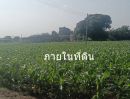  - ขายที่ดิน 8 ไร่ อ.พระพุทธบาท สระบุรี ไร่ละ 3 แสน
