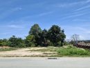 - ขายที่ดินหนองปรือ พัทยา 1 ไร่ ห้วยชากนอกซอยทุ่งกลม-ตาลหมัน ใกล้ถ.สุขุมวิท3-6กม. อ.บางละมุง ชลบุรี