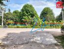 - ขาย ที่ดินเปล่าติดถนน เกาะพงัน จ.สุราษฎร์ธานี