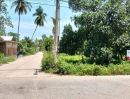 - ขาย ที่ดินเปล่าติดถนน เกาะพงัน จ.สุราษฎร์ธานี