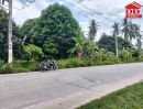 - ขาย ที่ดินเปล่าติดถนน เกาะพงัน จ.สุราษฎร์ธานี