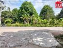 - ขาย ที่ดินเปล่าติดถนน เกาะพงัน จ.สุราษฎร์ธานี