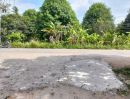 - ขาย ที่ดินเปล่าติดถนน เกาะพงัน จ.สุราษฎร์ธานี