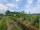 - ขายที่ดินปทุมธานีลาดหลุมแก้วราคาดีมากทำเลดีมาก