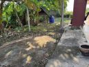 - บ้านเดี่ยว ชั้นเดียว 200 ตร.ว บ้านกล้วย ไทรน้อย ราคาถูก