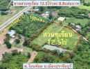  - ขายสวนทุเรียน 12.5ไร่ ทุเรียนให้ผลผลิตแล้ว ใกล้ถนนสุวรรณศรตัดใหม่ ต.โนนห้อม อ.เมือง จ.ปราจีนบุรี
