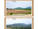 - ขายที่ดินแปลงใหญ่ 259 ไร่ ต.คลองกิ่ว อ.บ้านบึง จ.ชลบุรี ทำเลศักยภาพ ติดถนนใหญ่ เหมาะลงทุนและพัฒนาโครงการ