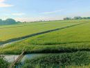 - ขายที่นา 12ไร่เศษ บางปะหัน อยุธยา ใกล้วัดตาลเอน ติดคลองบางพระครู