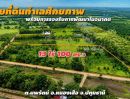 - ขายที่ดิน 13 ไร่ 100 ตารางวา ตำบลนพรัตน์ อำเภอหนองเสือ จังหวัดปทุมธานี