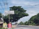 - ขายที่ติดถนน 4 เลน ท่าเรือพระแท่น ท่ามะกา 14 ไร่ 50.9 ตร.วา 20 ล้านบาท