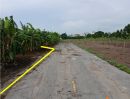 - ที่ดิน 2-0-98.4 ไร่ ลำลูกกาคลอง 4 ผังม่วง