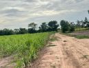 - ขายที่ดินเปล่า 2 เเปลง ทำเลดี เหมาะสำหรับลงทุน จังหวัดนครราชสีมา