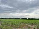 - ขายที่ดินเปล่า 2 เเปลง ทำเลดี เหมาะสำหรับลงทุน จังหวัดนครราชสีมา