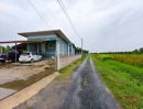 - ขายที่ดินพร้อมบ้าน สวนมะพร้าวน้ำหอม+บ้านชั้นเดียว เขาย้อย เพชรบุรี
