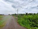 - ขายที่ดินพร้อมบ้าน สวนมะพร้าวน้ำหอม+บ้านชั้นเดียว เขาย้อย เพชรบุรี