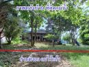 - ขายด่วน!! ขายถูก!! ที่ดินติดแม่น้ำท่าจีน พร้อมบ้านเดี่ยวหลังใหญ่ เนื้อที่ 272 ตรว. ต.เดิมบาง อ.เดิมบางนางบวช จ.สุพรรณบุรี