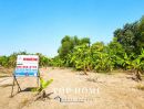 - ขายที่ดินจัดสรรแปลงสวย ถมแล้ว 175 ตร.ว ตำบลบางเตย อำเภอสามโคก จังหวัดปทุมธานี