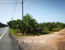 - ขายที่ดินจัดสรรแปลงสวย ถมแล้ว 175 ตร.ว ตำบลบางเตย อำเภอสามโคก จังหวัดปทุมธานี