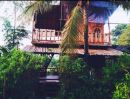 - ขายถูกมาก!! บ้านสวนพร้อมที่ดิน + โฮมสเตย์ ขนาด 5 ไร่ บรรยากาศดีมาก อ.คอนสาร จ.ชัยภูมิ ใกล้แม็คโครฯ