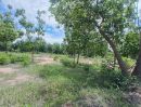  - ขายที่ดิน 2-2-55 ไร่ เขาช่องพราน ตำบลเตาปูน อำเภอโพธาราม จังหวัดราชบุรี