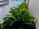 - บ้านเดี่ยวสุดหรู ใจกลางเมืองพัทยา หรูหรา โดดเด่น รีโนเวทใหม่ทั้งหลัง FP-H02295
