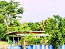 - ที่ดินสวย ทำเลดี ติดถนนลาดยาง ค้าขายได้ อ.นางรอง บุรีรัมย์