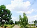  - ที่นาทำเลดี ติดถนนคอนกรีต มีไฟฟ้า อ.พลับพลาชัย บุรีรัมย์