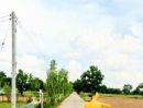  - ที่นาทำเลดี ติดถนนคอนกรีต มีไฟฟ้า อ.พลับพลาชัย บุรีรัมย์