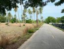 - ขายที่ดินห้วยใหญ่ มาบฟักทอง 16 ไร่ ติดถนนคอนกรีต ใกล้หาดบ้านอำเภอ-5กม. อ.บางละมุง ชลบุรี