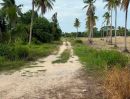 - ขายที่ดินห้วยใหญ่ มาบฟักทอง 16 ไร่ ติดถนนคอนกรีต ใกล้หาดบ้านอำเภอ-5กม. อ.บางละมุง ชลบุรี