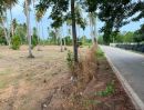 - ขายที่ดินห้วยใหญ่ มาบฟักทอง 16 ไร่ ติดถนนคอนกรีต ใกล้หาดบ้านอำเภอ-5กม. อ.บางละมุง ชลบุรี