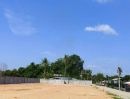 - ขายที่ดินหนองปรือ พัทยา 1 ไร่ ถมแล้วซอยพรประภานิมิตร34 ใกล้อ่างเก็บน้ำมาบประชัน-850เมตร อ.บางละมุง ชลบุรี