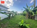 - ที่ดินเปล่า เนื้อที่ 70.7 ตร.ว.บนทำเลที่เดินทางสะดวก ใกล้ตัวเมือง