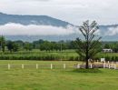 - ขายที่ดินเขาใหญ่ ปากช่อง ถนนเส้นทอสคาน่า วิวอุทยานเขาใหญ่ และ Toscsna 180 องศา