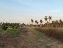 - ขายที่ดินห้วยใหญ่-ชากแง้ว 300 ตรว. ติดลำห้วย ใกล้ถนนเส้นสุขุมวิท3-7กม. อ.บางละมุง ชลบุรี