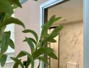 - ขายคอนโดใหม่ แบบ 1Bed Loft 35.04 ตร.ม. พร้อมเฟอร์ฯ GROOVE ลาดพร้าว 18 เขตจตุจักร กรุงเทพ