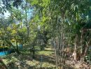 - ขายสวนสวยพร้อมบ้านพัก 335 ตรว แปลงมุม ติดถนน 2 ด้าน ไทรน้อย นนทบุรี