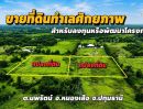 - ขายที่ดินแปลงใหญ่ ทำเลศักยภาพ 2 แปลงติดกัน ขนาดแปลงละ 5 ไร่ จ.ปทุมธานี ตรงข้ามวัดปทุมเสริมรังสีวัฒนาราม