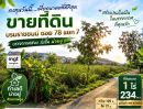 - ขาย/ให้เช่าที่ดิน 1ไร่ 234 ตรว. บรมราชชนนี ซอย 78 แยก7 เขตตลิ่งชัน