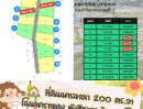 - ที่ดิน 200 ตร.วา โฉนดครุฑแดง ผังสีชมพู วิวภูเขา พรหมณี เมืองนครนายก ใกล้ จปร.