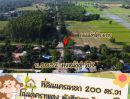 - ที่ดิน 200 ตร.วา โฉนดครุฑแดง ผังสีชมพู วิวภูเขา พรหมณี เมืองนครนายก ใกล้ จปร.